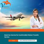 Use Vedanta Air Ambulance Service in Raipur for Emergency Patient Relocation  - Services advertisement in Paris
