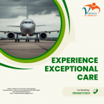 Utilize Vedanta Air Ambulance service in Kanpur with the best ICU facilities - Services advertisement in Maribor