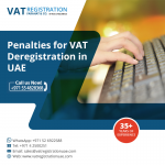 Deregistration (VAT, Excise, VAT Group, Designated Zones) - Services advertisement in Paris