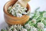 Wholesale of Yarrow herb from the manufacturer at optimal prices - Sell advertisement in Luxembourg city